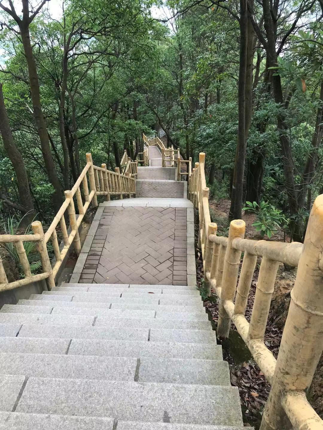 陽臺山階梯